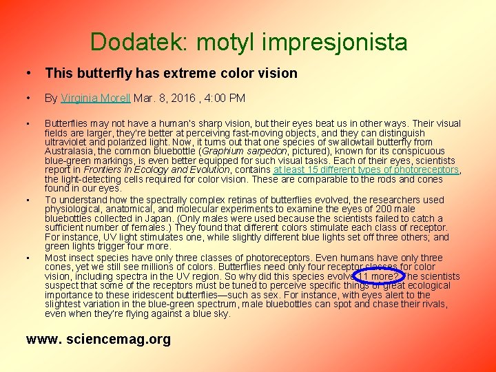 Dodatek: motyl impresjonista • This butterfly has extreme color vision • By Virginia Morell