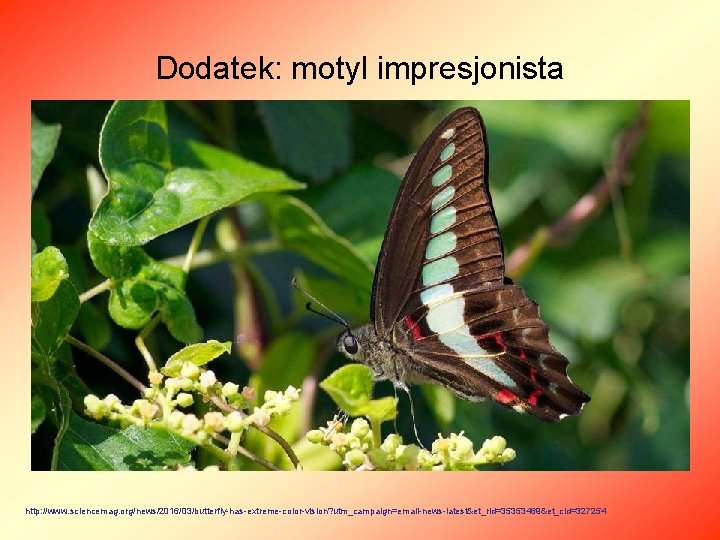 Dodatek: motyl impresjonista http: //www. sciencemag. org/news/2016/03/butterfly-has-extreme-color-vision? utm_campaign=email-news-latest&et_rid=35353469&et_cid=327254 
