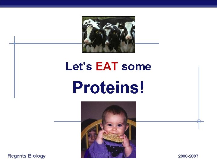 Let’s EAT some Proteins! Regents Biology 2006 -2007 