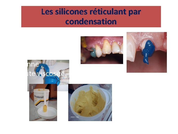 LES ELASTOMERES DR KASSOURI L F Matre assistant