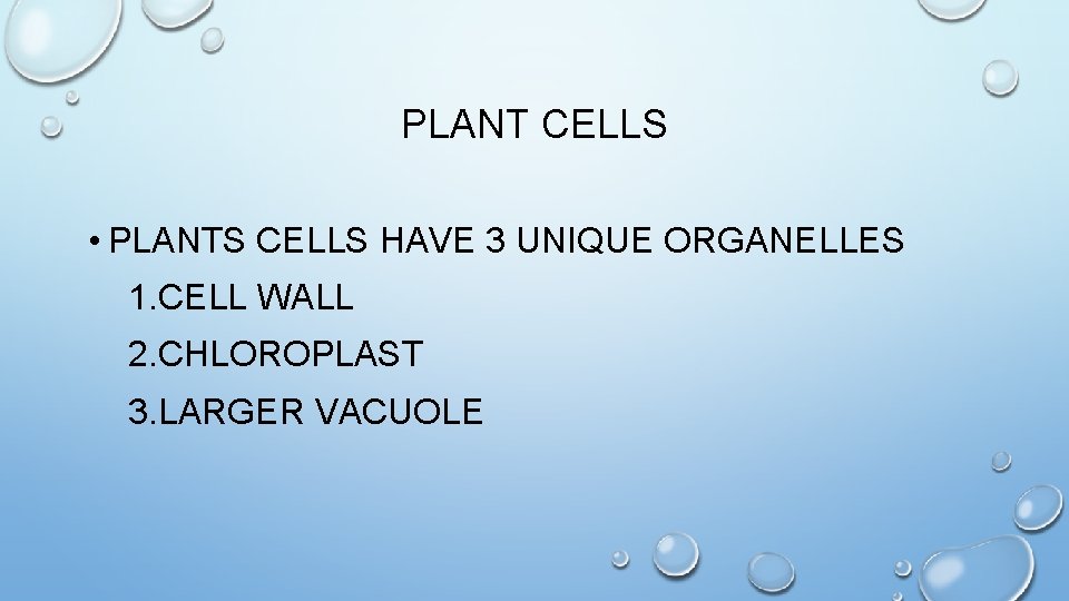 PLANT CELLS • PLANTS CELLS HAVE 3 UNIQUE ORGANELLES 1. CELL WALL 2. CHLOROPLAST
