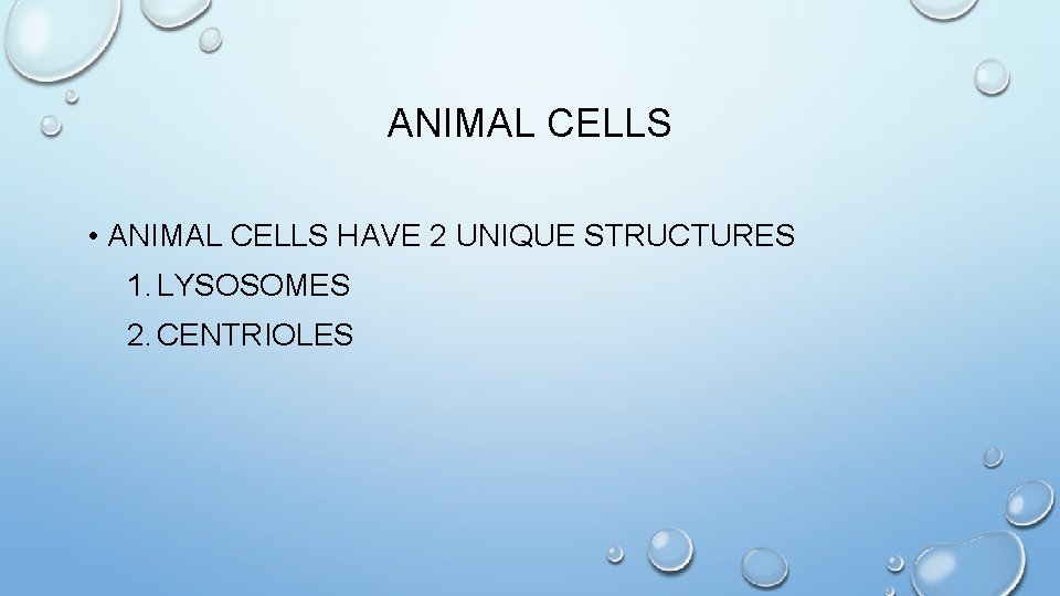 ANIMAL CELLS • ANIMAL CELLS HAVE 2 UNIQUE STRUCTURES 1. LYSOSOMES 2. CENTRIOLES 