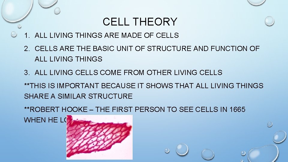 CELL THEORY 1. ALL LIVING THINGS ARE MADE OF CELLS 2. CELLS ARE THE