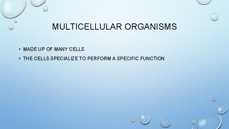 MULTICELLULAR ORGANISMS • MADE UP OF MANY CELLS • THE CELLS SPECIALIZE TO PERFORM