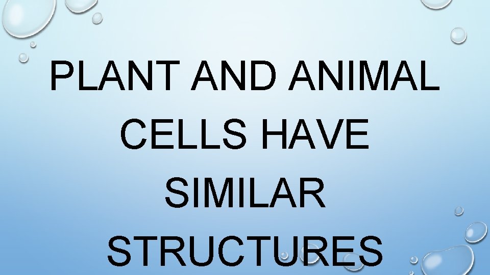 PLANT AND ANIMAL CELLS HAVE SIMILAR STRUCTURES 