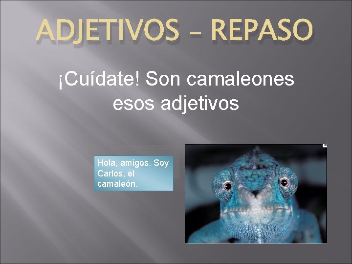 ADJETIVOS - REPASO ¡Cuídate! Son camaleones esos adjetivos Hola, amigos. Soy Carlos, el camaleón.