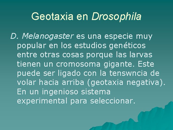 Geotaxia en Drosophila D. Melanogaster es una especie muy popular en los estudios genéticos