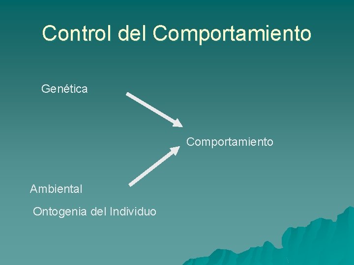 Control del Comportamiento Genética Comportamiento Ambiental Ontogenia del Individuo 