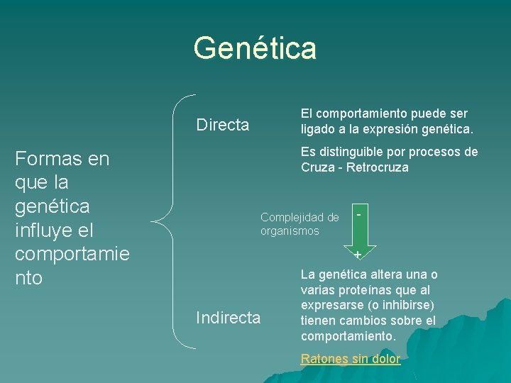 Genética El comportamiento puede ser ligado a la expresión genética. Directa Formas en que