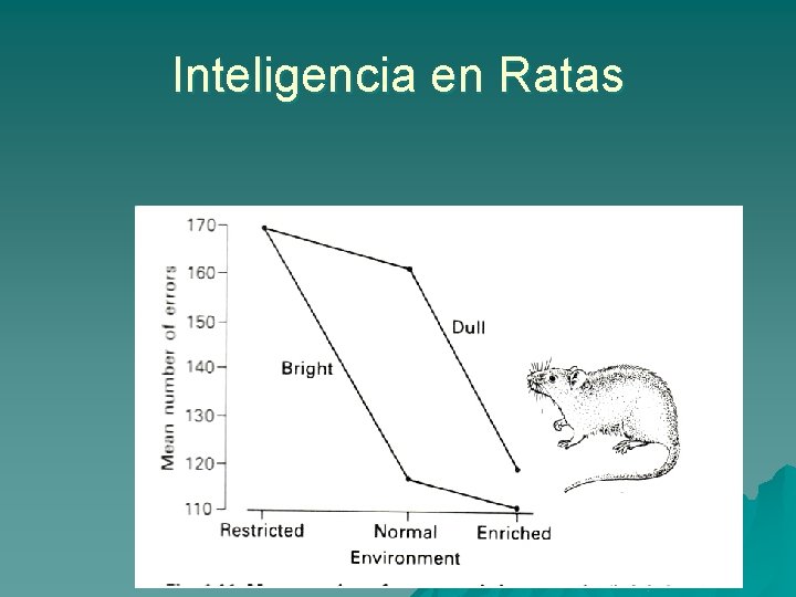 Inteligencia en Ratas 