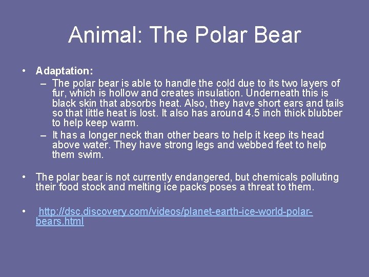 Animal: The Polar Bear • Adaptation: – The polar bear is able to handle