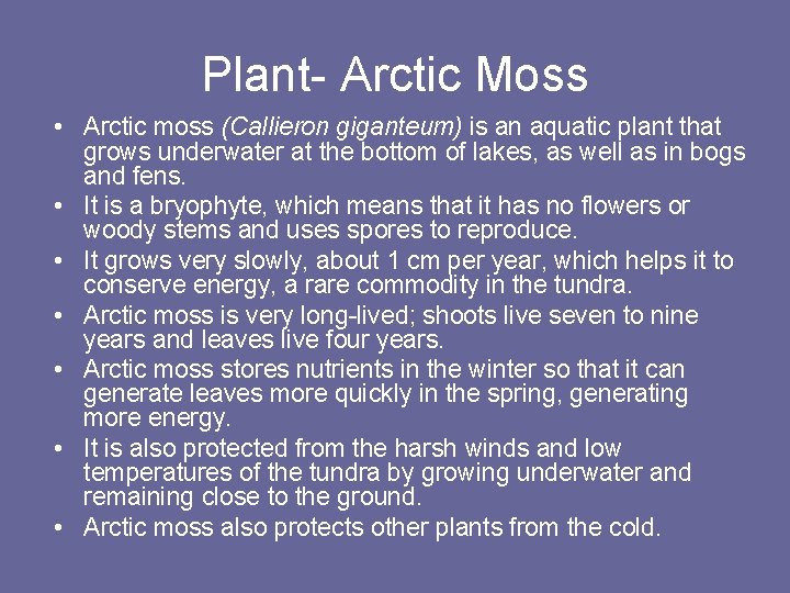 Plant- Arctic Moss • Arctic moss (Callieron giganteum) is an aquatic plant that grows