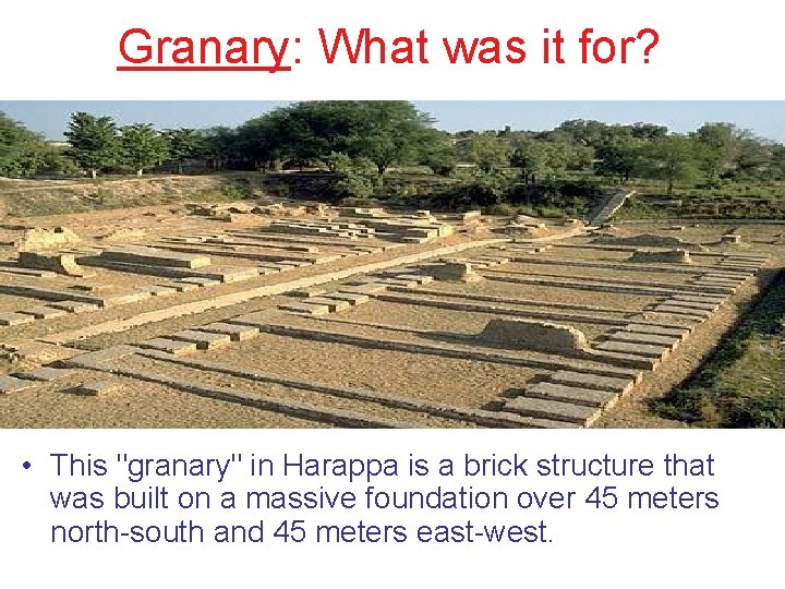 Granary: What was it for? • This "granary" in Harappa is a brick structure