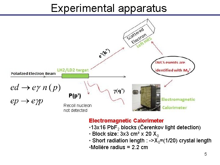 Experimental apparatus ’) k e’( γ(q’) P(p’) Recoil nucleon not detected Electromagnetic Calorimeter •