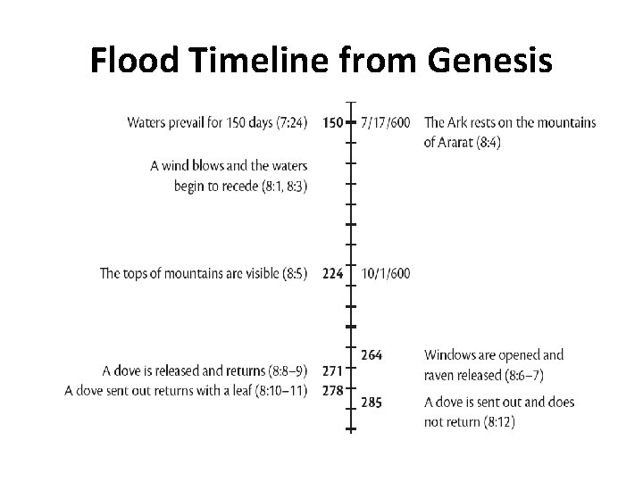 Flood Timeline from Genesis 