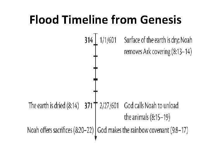 Flood Timeline from Genesis 