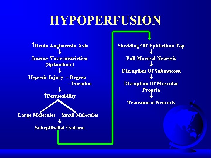 HYPOPERFUSION Renin Angiotensin Axis Intense Vasoconstriction (Splanchnic) Hypoxic Injury – Degree - Duration Permeability