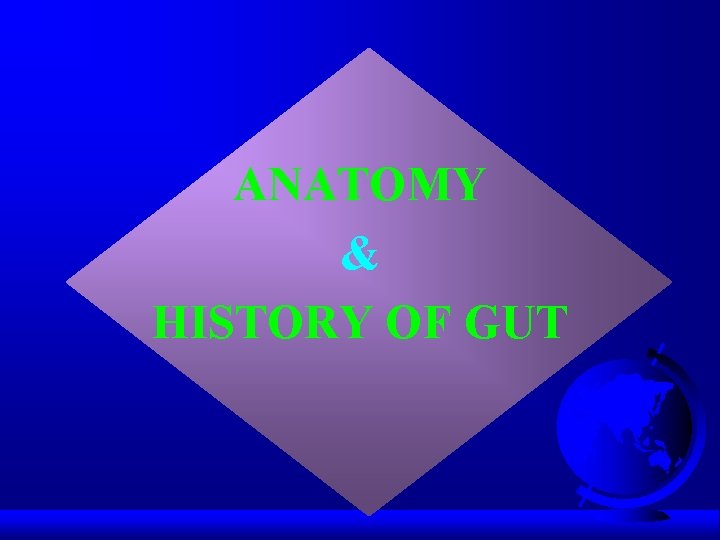 ANATOMY & HISTORY OF GUT 
