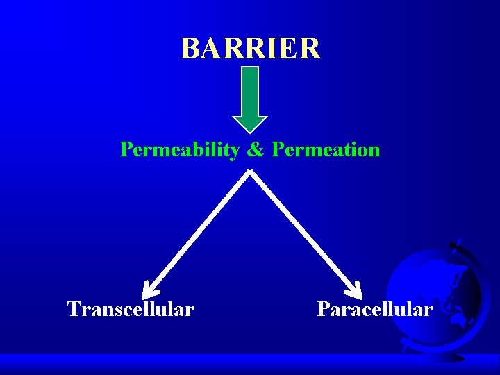 BARRIER Permeability & Permeation Transcellular Paracellular 