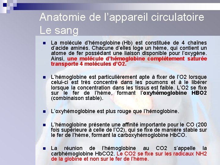 Anatomie de l’appareil circulatoire Le sang n La molécule d’hémoglobine (Hb) est constituée de