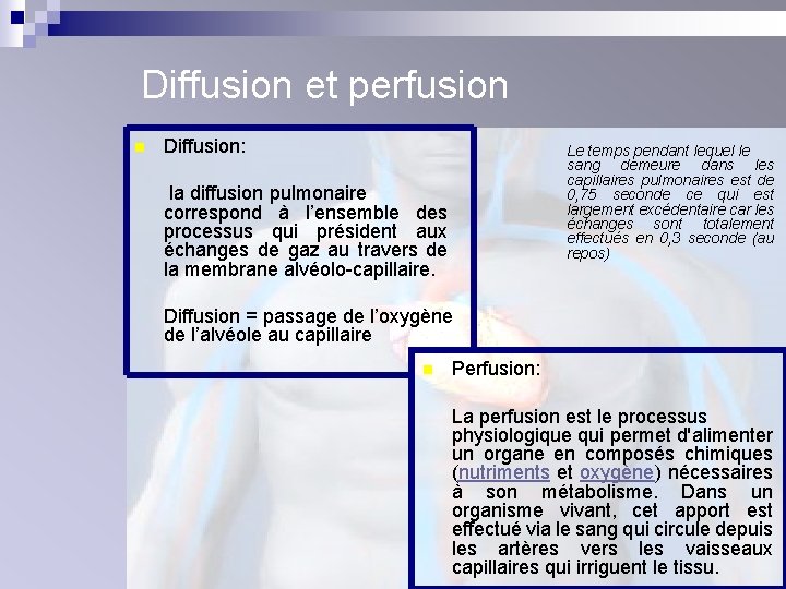 Diffusion et perfusion n Diffusion: Le temps pendant lequel le sang demeure dans les