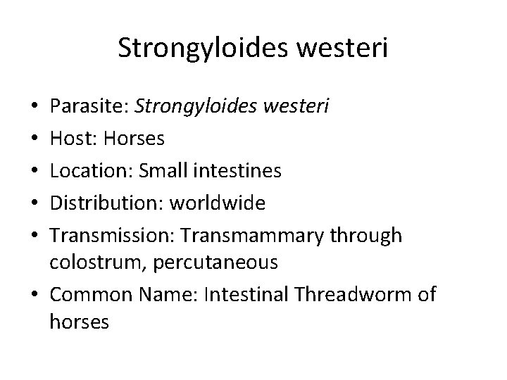 Strongyloides westeri Parasite: Strongyloides westeri Host: Horses Location: Small intestines Distribution: worldwide Transmission: Transmammary