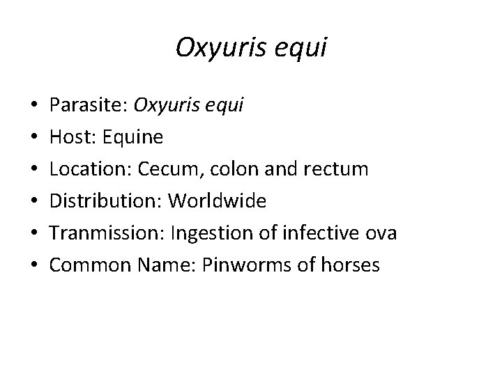 Oxyuris equi • • • Parasite: Oxyuris equi Host: Equine Location: Cecum, colon and