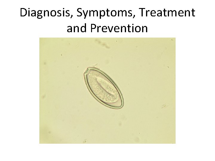 Diagnosis, Symptoms, Treatment and Prevention 