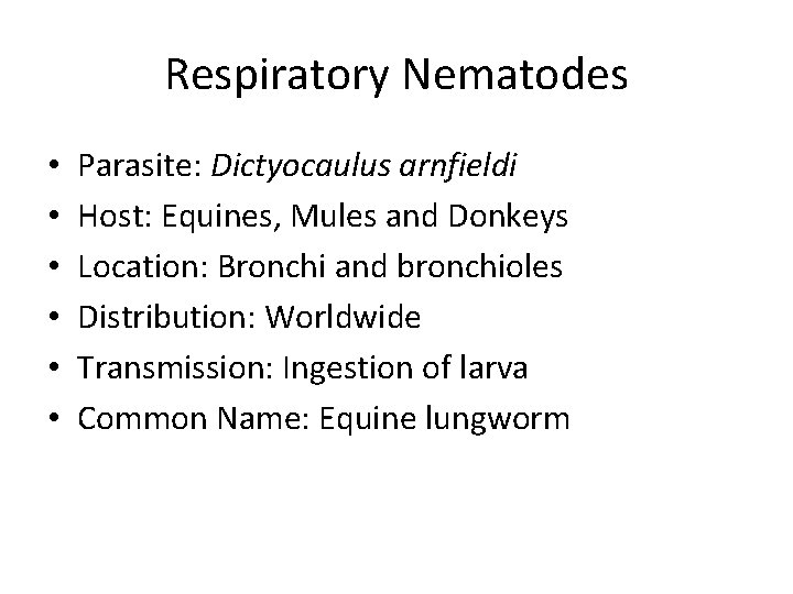 Respiratory Nematodes • • • Parasite: Dictyocaulus arnfieldi Host: Equines, Mules and Donkeys Location: