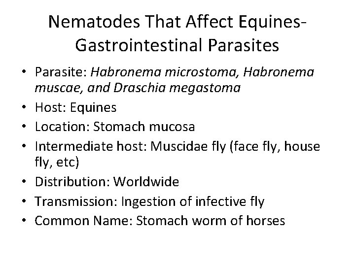 Nematodes That Affect Equines. Gastrointestinal Parasites • Parasite: Habronema microstoma, Habronema muscae, and Draschia