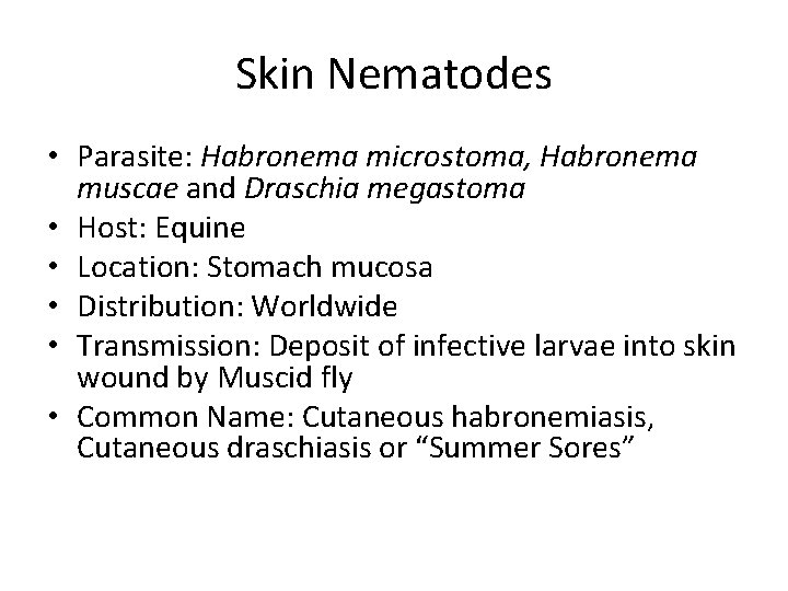 Skin Nematodes • Parasite: Habronema microstoma, Habronema muscae and Draschia megastoma • Host: Equine