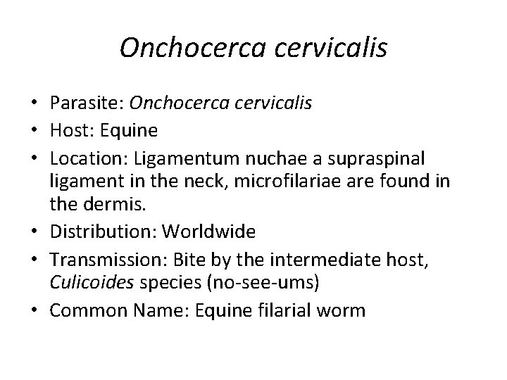 Onchocerca cervicalis • Parasite: Onchocerca cervicalis • Host: Equine • Location: Ligamentum nuchae a