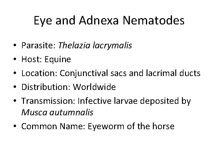 Eye and Adnexa Nematodes Parasite: Thelazia lacrymalis Host: Equine Location: Conjunctival sacs and lacrimal