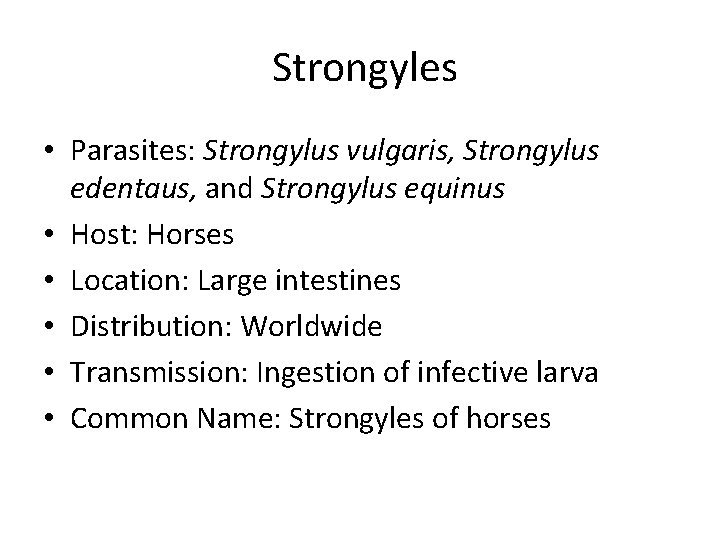 Strongyles • Parasites: Strongylus vulgaris, Strongylus edentaus, and Strongylus equinus • Host: Horses •