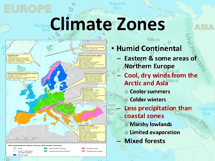 Climate Zones • Humid Continental Eastern & some areas of Northern Europe Cool, dry