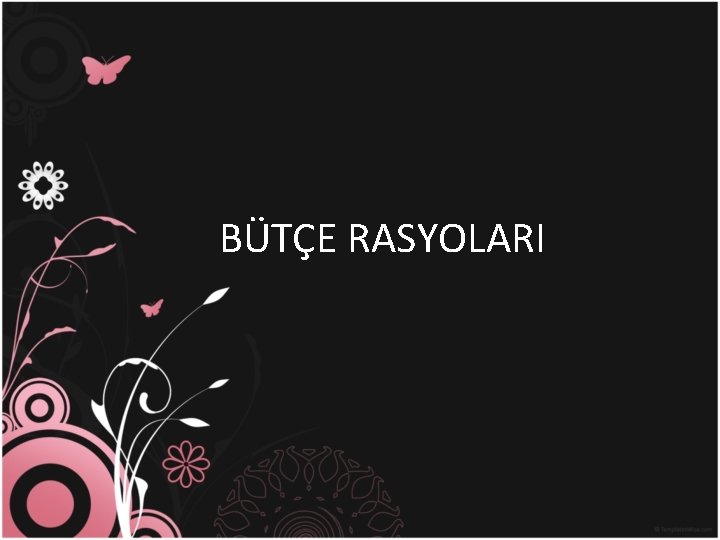 BÜTÇE RASYOLARI 