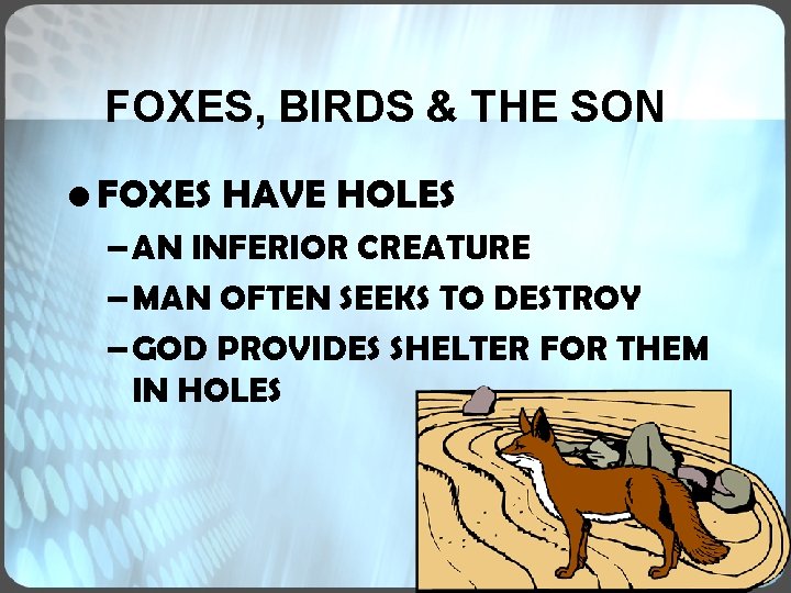 FOXES, BIRDS & THE SON • FOXES HAVE HOLES – AN INFERIOR CREATURE – FOXES, BIRDS & THE SON • FOXES HAVE HOLES – AN INFERIOR CREATURE –