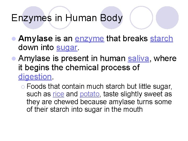 Enzymes in Human Body l Amylase is an enzyme that breaks starch down into