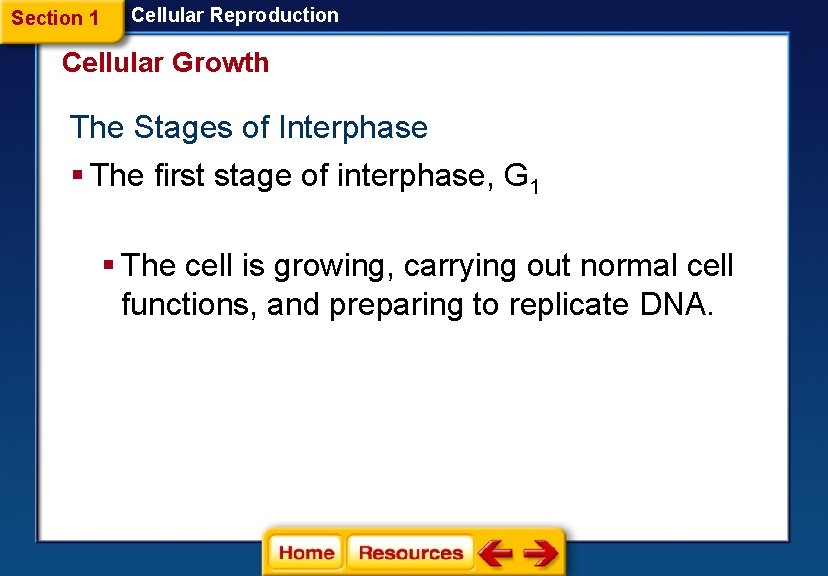 Section 1 Cellular Reproduction Cellular Growth The Stages of Interphase § The first stage