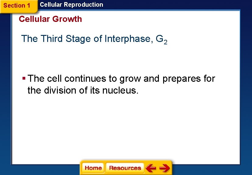 Section 1 Cellular Reproduction Cellular Growth The Third Stage of Interphase, G 2 §