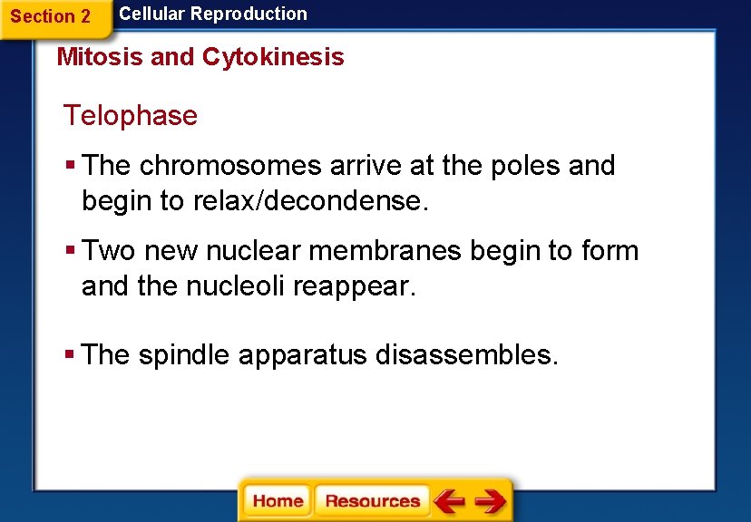 Section 2 Cellular Reproduction Mitosis and Cytokinesis Telophase § The chromosomes arrive at the