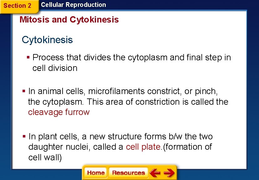 Section 2 Cellular Reproduction Mitosis and Cytokinesis § Process that divides the cytoplasm and