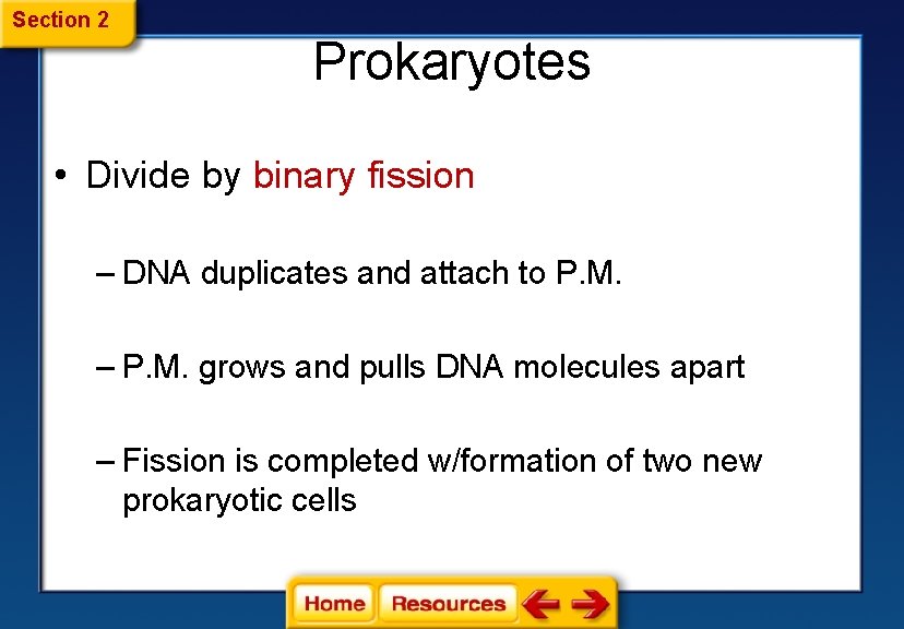Section 2 Prokaryotes • Divide by binary fission – DNA duplicates and attach to