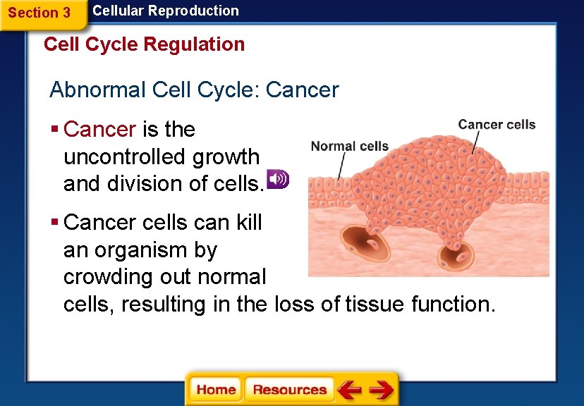 Section 3 Cellular Reproduction Cell Cycle Regulation Abnormal Cell Cycle: Cancer § Cancer is