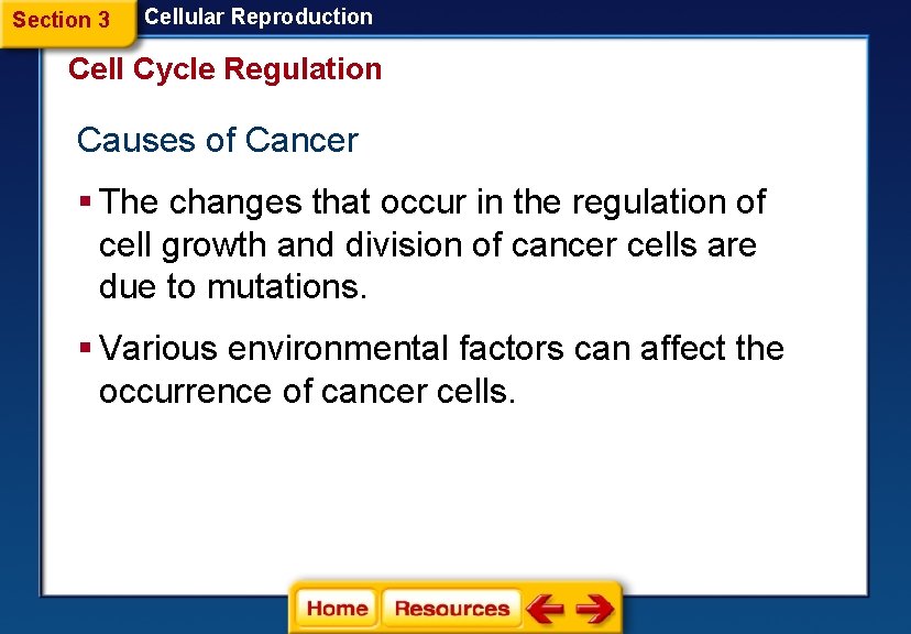 Section 3 Cellular Reproduction Cell Cycle Regulation Causes of Cancer § The changes that