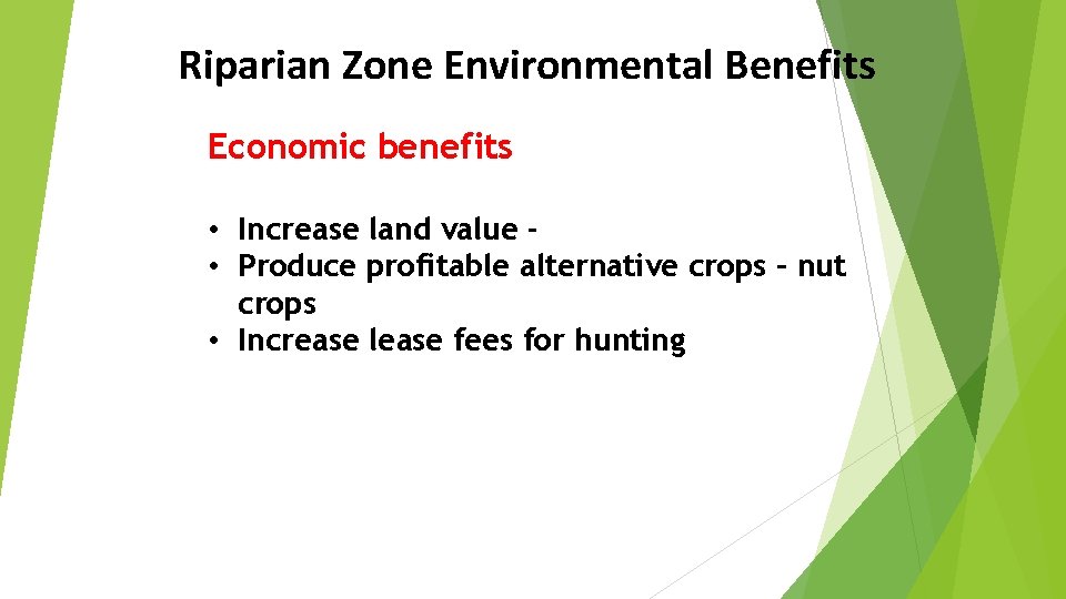 Riparian Zone Environmental Benefits Economic benefits • Increase land value • Produce profitable alternative