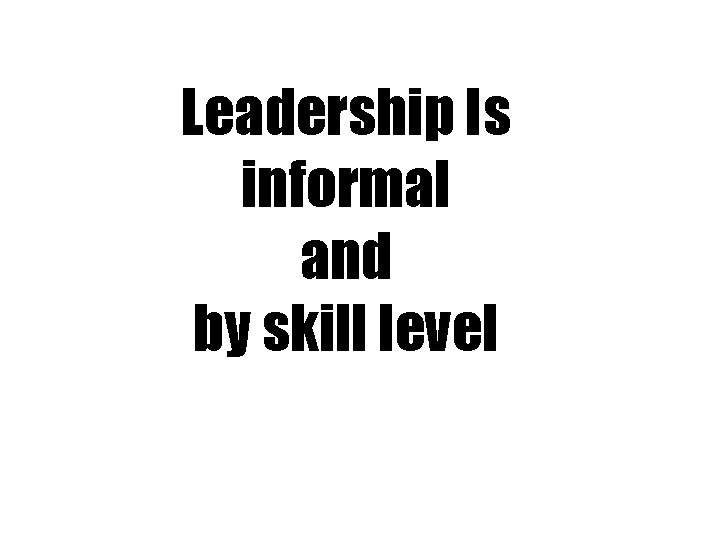 Leadership Is informal and by skill level 