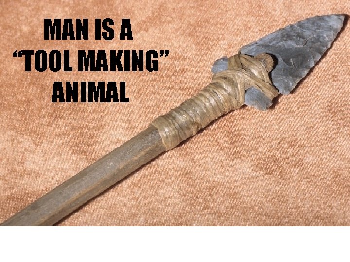 MAN IS A “TOOL MAKING” ANIMAL 