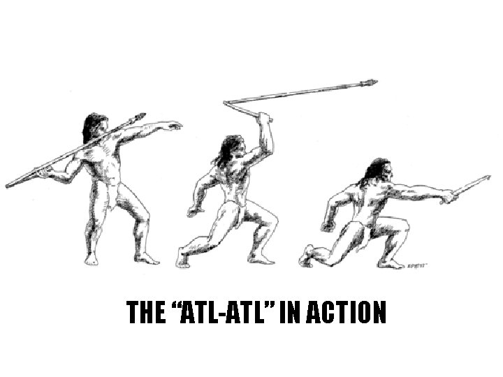 THE “ATL-ATL” IN ACTION 