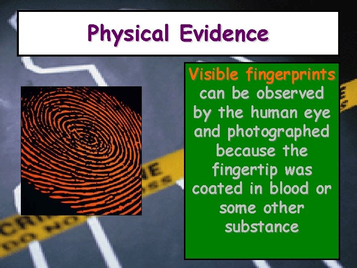 Physical Evidence Visible fingerprints can be observed by the human eye and photographed because